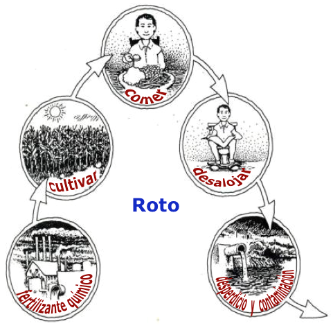 ciclo roto
